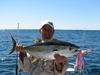 exmouth yellowfin tuna